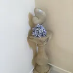 Casa Pietro *